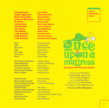 Once Upon a Mattress