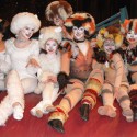 Cats at South Lyon East High School