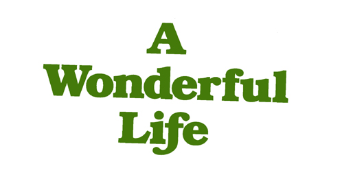 A Wonderful Life